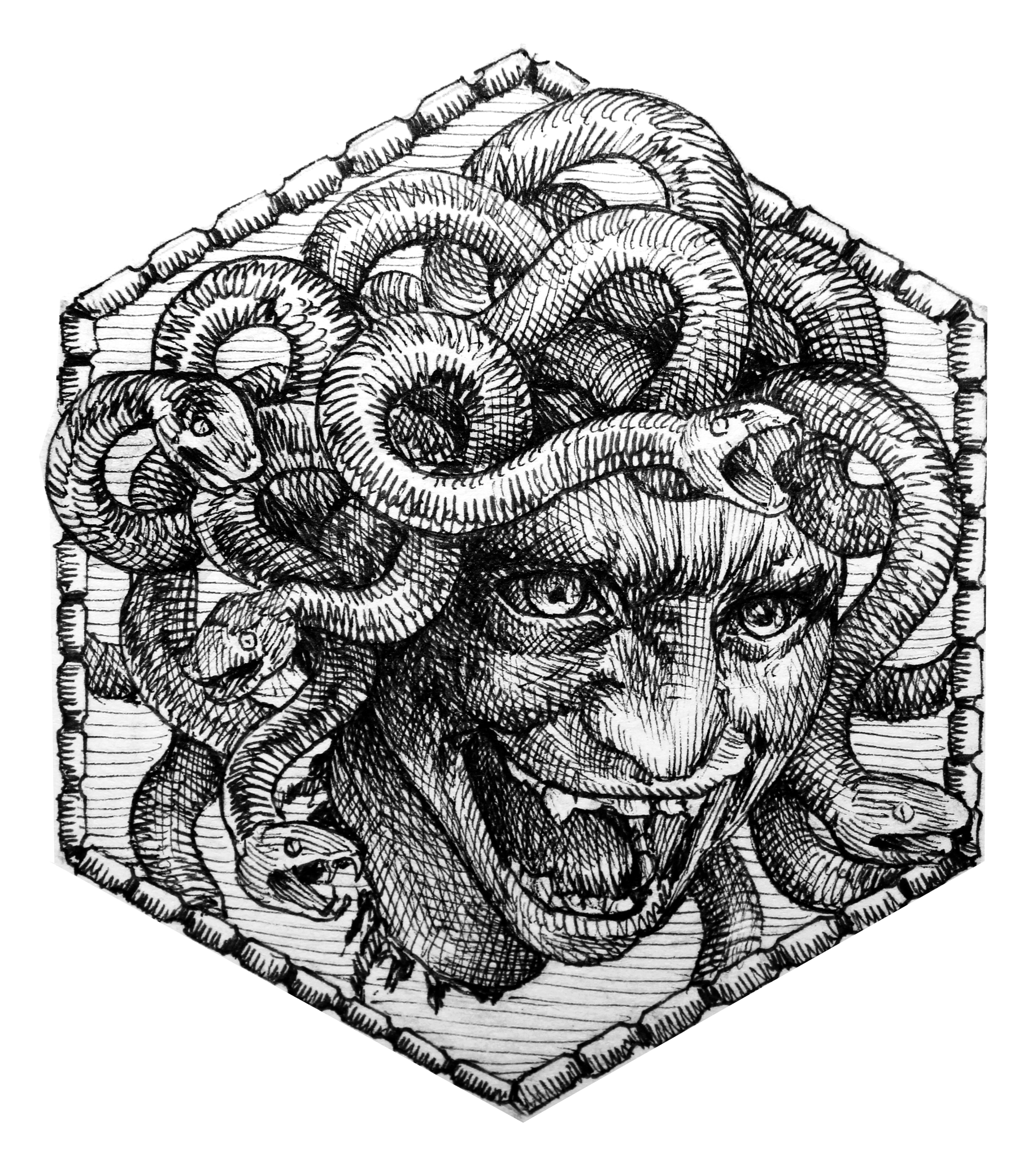 A hand-drawn Medusa surrounded by snakes.